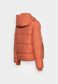 Orange puffjacka med huva, långa ärmar och ribbad muddar, visad bakifrån mot en ljusgrå bakgrund.