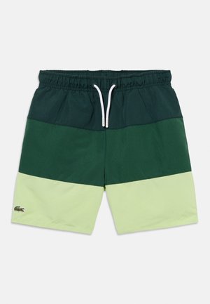 Pánske plavecké šortky s elastickým pásom a bielym šnúrkou, s horizontálnymi tmavozelenými a svetlozelenými farebnými blokmi a malým logom krokodíla.