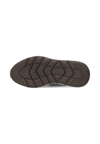 Posh by Poelman CAROCEL - Baskets basses - brown