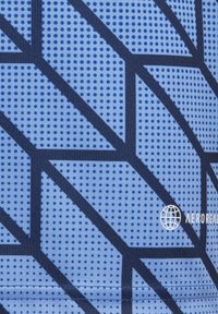 adidas Performance TEAM IC - T-shirt print - blau