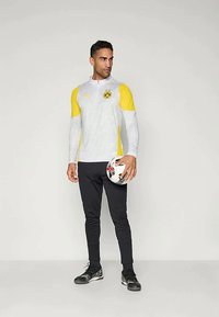 Puma BVB TRAINING 1/4 ZIP TOP - Vereinsmannschaften - silver-coloured mist/faster yellow