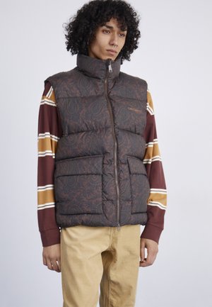 Carhartt WIP SPRINGFIELD VEST - Liemenė - buckeye/black