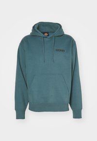 Sudadera con capucha en tejido verde azulado con un bolsillo delantero, puños y dobladillo acanalados; cuenta con un logo negro en el pecho.
