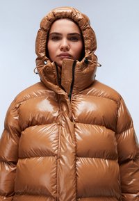 Napapijri GLANE - Winterjas - brown tobaco