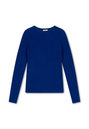Blauwe gebreide sweater met lange mouwen, geribbelde textuur, ronde hals en verticale naaddetails. Lichtgewicht stof voor comfortabel draagcomfort.