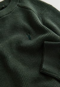 Pull en maille vert foncé avec une texture côtelée, doté d'un col rond et de détails de logo discrets. Tissu doux avec des manches longues.