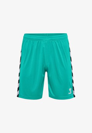 Turkise sportsshorts lavet af glat, let materiale. Har sorte sidelæg med hvidt mønster og et broderet logo foran.