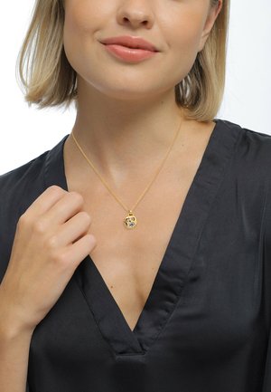 VIVID SPARKLING PLATE - Necklace - gold-coloured