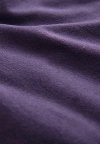 Next LONG SLEEVE REGULAR FIT - Majica - purple
