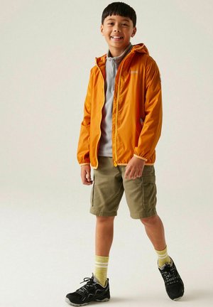 Regatta, REGATTA LEVER II WATERPROOF PACKAWAY JACKET PACKAWAY JACKETS UNISEX - Regenjas - orange