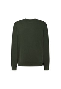 Maglione crewneck verde scuro con maniche lunghe. Realizzato in un tessuto morbido, presenta polsini e orlo a costine, con una texture liscia.