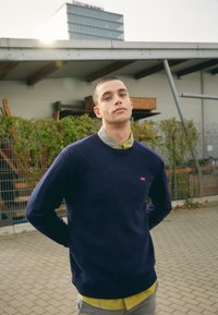 Maglione lavorato a maglia blu navy con scollatura tonda, caratterizzato da un piccolo logo rosso, indossato sopra una camicia a collare gialla e grigia a fantasia.