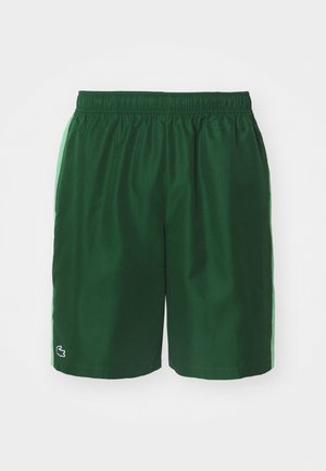 Shorts de sport verts avec une ceinture élastique, en tissu léger, et un petit logo sur le bas à gauche. Design simple, sans poches.
