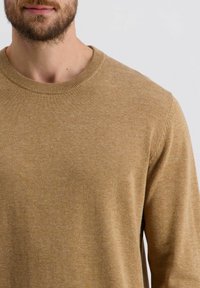 Pull en maille marron avec un col rond, présentant une texture douce et une coupe ajustée. Aucun motif ou accent visible.