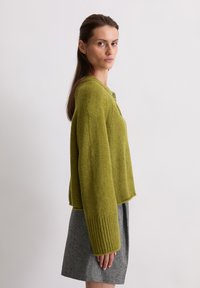 Cardigan verde lavorato a maglia con polsini a coste e chiusura con bottoni, abbinato a una gonna grigia. Tessuto morbido e silhouette rilassata.