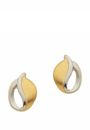 Orecchini - bicolor