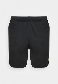 Zwarte sportshorts met een elastische tailleband. Heeft een klein, multicolored logo op de rechteronderzijde. Gladde stoftextuur.