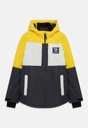 ARACINY UNISEX - Chaqueta de snowboard - titanium