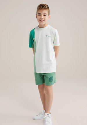 BLUE RIDGE - Camiseta estampada - mint green