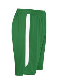 Grüne Sportshorts mit einem atmungsaktiven weißen Netzseitenpanel, elastischem Bund und leichtem Material für Komfort während des Sports.