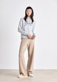 GANT SCRIPT HOODIE - Sweatshirt - light grey melange
