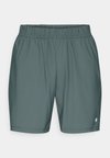 ACE SHORTS - Short de sport - urban chic