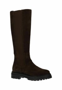 Bottes marron jusqu'aux genoux en daim avec des panneaux latéraux élastiques, un bout arrondi, une semelle en caoutchouc robuste et des accents de couture visibles.