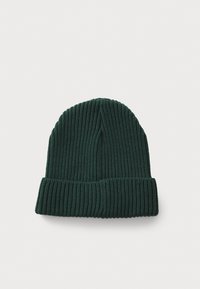 Patagonia FISHERMANS ROLLED BEANIE UNISEX - Gorro - cascade green