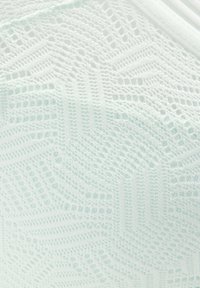 Licht mintgroen kantstof met een geometrisch patroon, voorzien van een gestructureerd oppervlak en open weefsels. De randen zijn netjes afgewerkt.