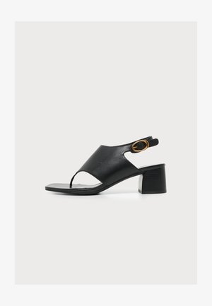 MICHAEL Michael Kors, KYA FLEX MID THONG SANDAL - Sandals - black