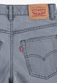 Levi's® STAY LOOSE - Avar lõikega teksad - pumping iron