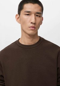 Felpa marrone con scollatura tonda e maniche lunghe. Texture liscia, design semplice, stile minimalista. Nessun motivo o accento visibile.