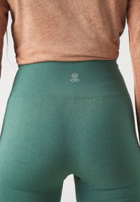 Yogasearcher ASA SEAMLESS LEGGING - Tights - paon