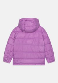 Violette, gesteppte Pufferjacke mit langen Ärmeln und angebrachtem Kapuzen, von hinten auf einem weißen Hintergrund gezeigt.