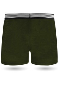 normani Outdoor Sports 2ER PACK MERINO BOXERSHORTS UNTERHOSE FUNKTIONSUNTERWASCHE SPORTHOSE - Boxer Briefs - grün