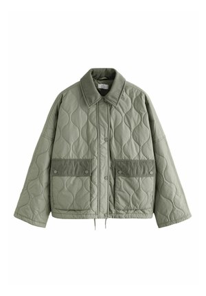 REGULAR FIT - Zimná bunda - sage green