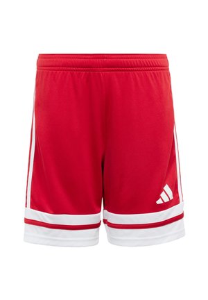 adidas Performance SQUADRA YOUTH - Short - team power red white