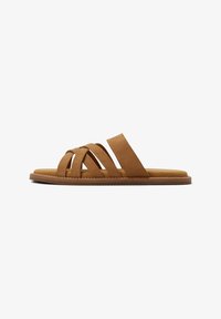 Selected, camel