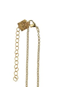 Gouden kettinghalsband met ovale schakels, een sluiting en een rechthoekig label. De ketting heeft een gladde textuur met een glanzende afwerking.