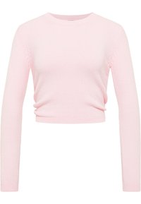 Maglione corto rosa chiaro con maniche lunghe, scollatura tonda e tessuto a maglia testurizzato. Orlo e polsini a costine con dettagli sottili lungo le cuciture.