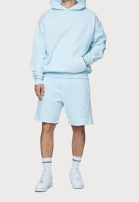 Pegador Luvtröja - light blue