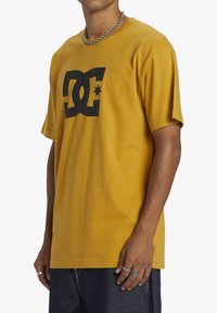DC Shoes STAR - Triko s potiskem - yky tinsel