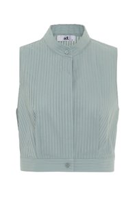 Blusa sin mangas de color verde claro con cuello alzado. Presenta pliegues verticales, cierre de botones en el frente y un sutil brillo en la tela.