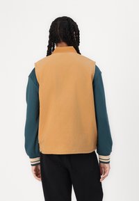 Gilet senza maniche color tan sopra una maglietta a manica lunga teal, con colletto e polsini a righe, mostrato di spalle su uno sfondo bianco.