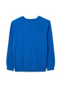 Pull bleu à manches longues avec col rond et poignets et ourlet côtelés, présenté à plat par l'arrière sur un fond blanc.