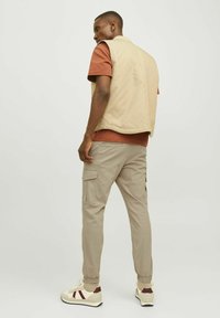 Beige sleeveless vest, brown shirt, and light khaki cargo pants. The outfit includes tan and maroon sneakers, featuring a relaxed fit and pockets.