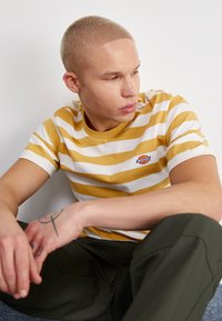Dzeltenā un baltā svītrainā T-kreklā ar apaļu kakla izgriezumu un mazu Dickies logo. Valkāts ar tumši zaļām biksēm. Mīksts kokvilnas materiāls.