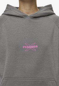 Pegador BELLY OVERSIZED HOODIE - Felpa - washed deep grey
