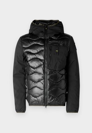 Blauer ALBERT - Piumino - black