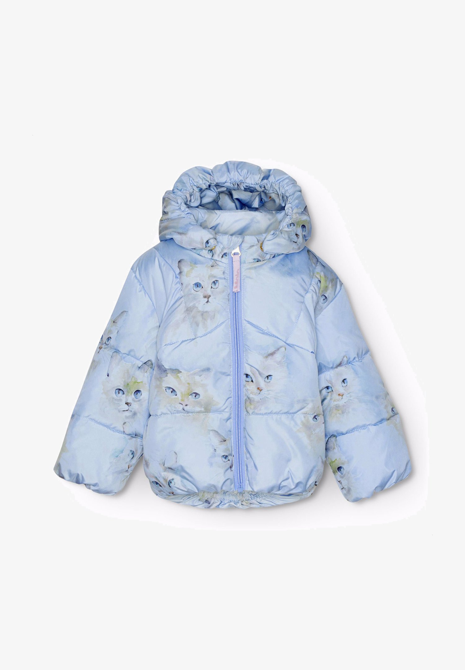 Molo HARPO Winterjacke aquarelle blue/hellblau Zalando